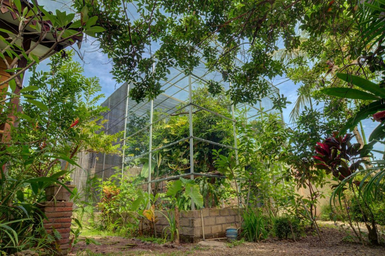 Bata Merah Homestay 바뉴왕기 외부 사진