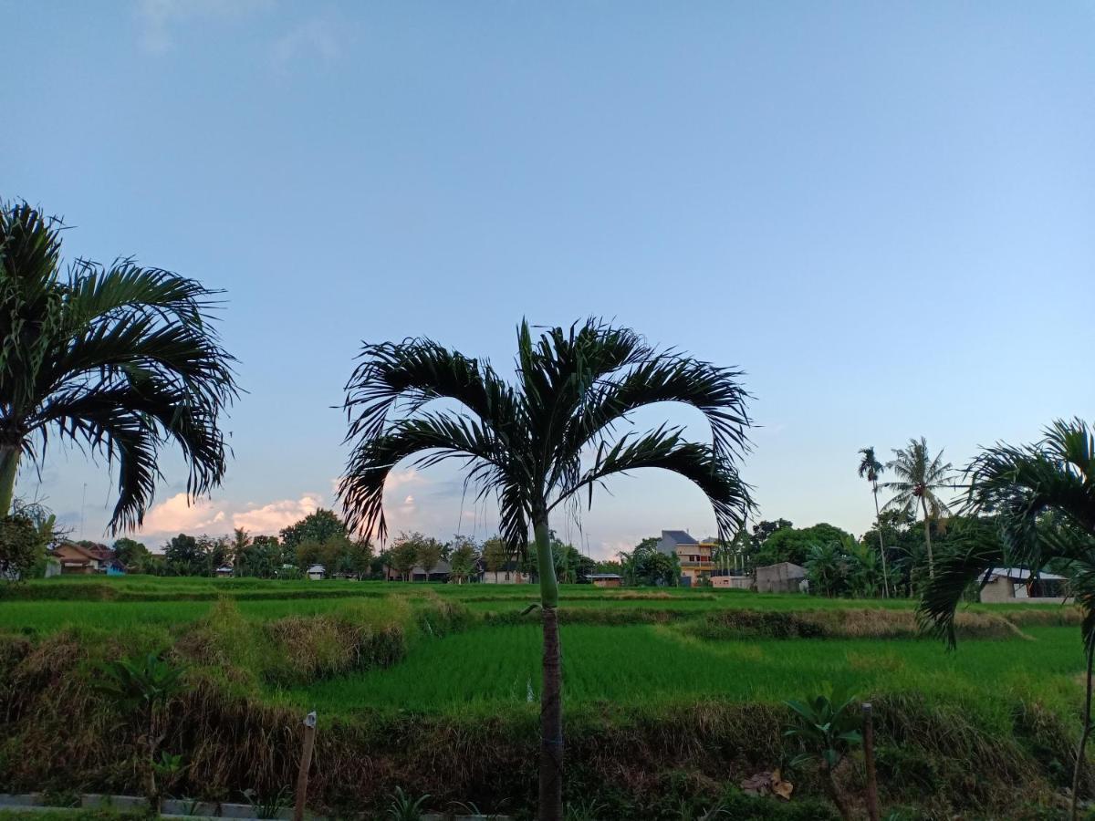 Bata Merah Homestay 바뉴왕기 외부 사진