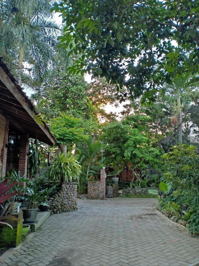 Bata Merah Homestay 바뉴왕기 외부 사진
