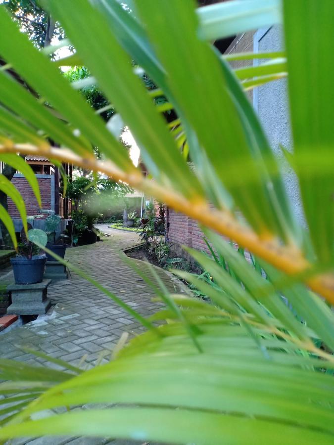 Bata Merah Homestay 바뉴왕기 외부 사진