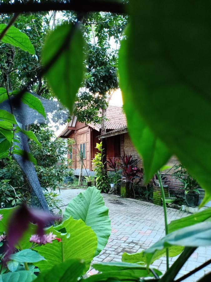 Bata Merah Homestay 바뉴왕기 외부 사진
