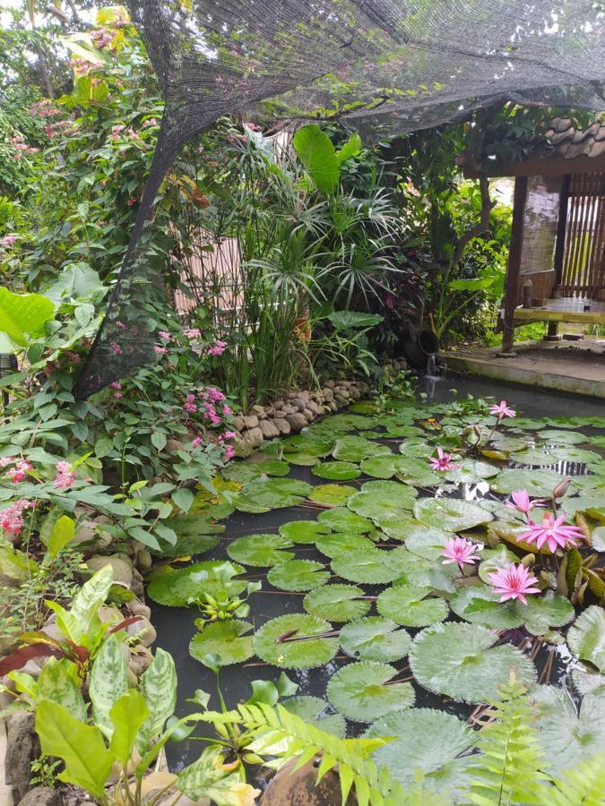 Bata Merah Homestay 바뉴왕기 외부 사진